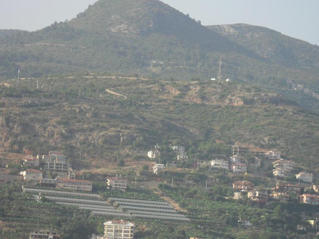 Hotel Yildirimoglu Alanya Habitación foto